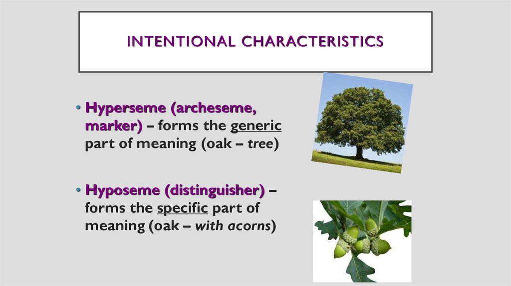 Intentional Characteristics