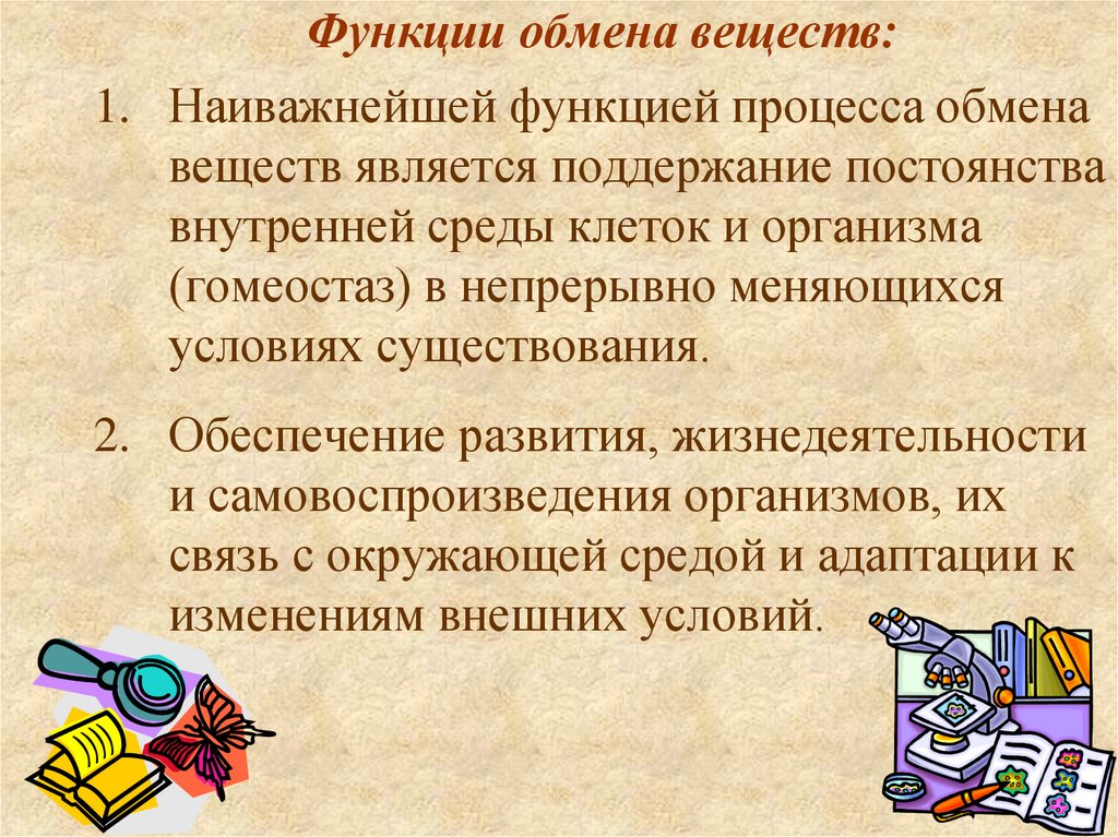 Функции обмена веществ: