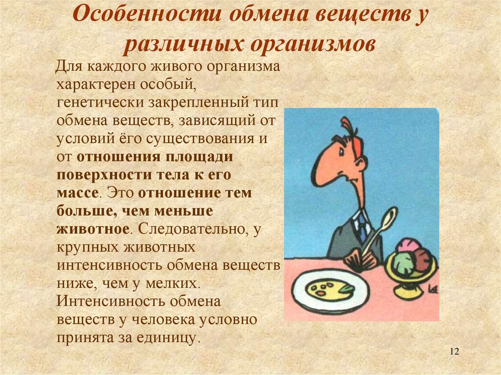 Особенности обмена веществ у различных организмов