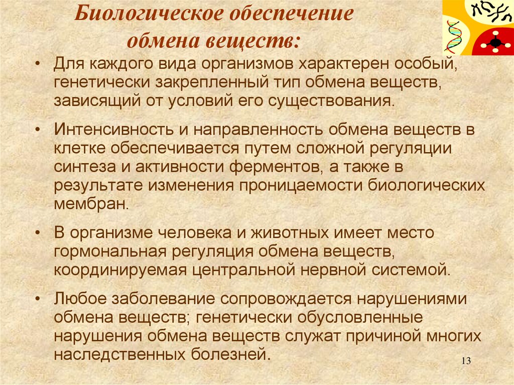 Биологическое обеспечение обмена веществ: