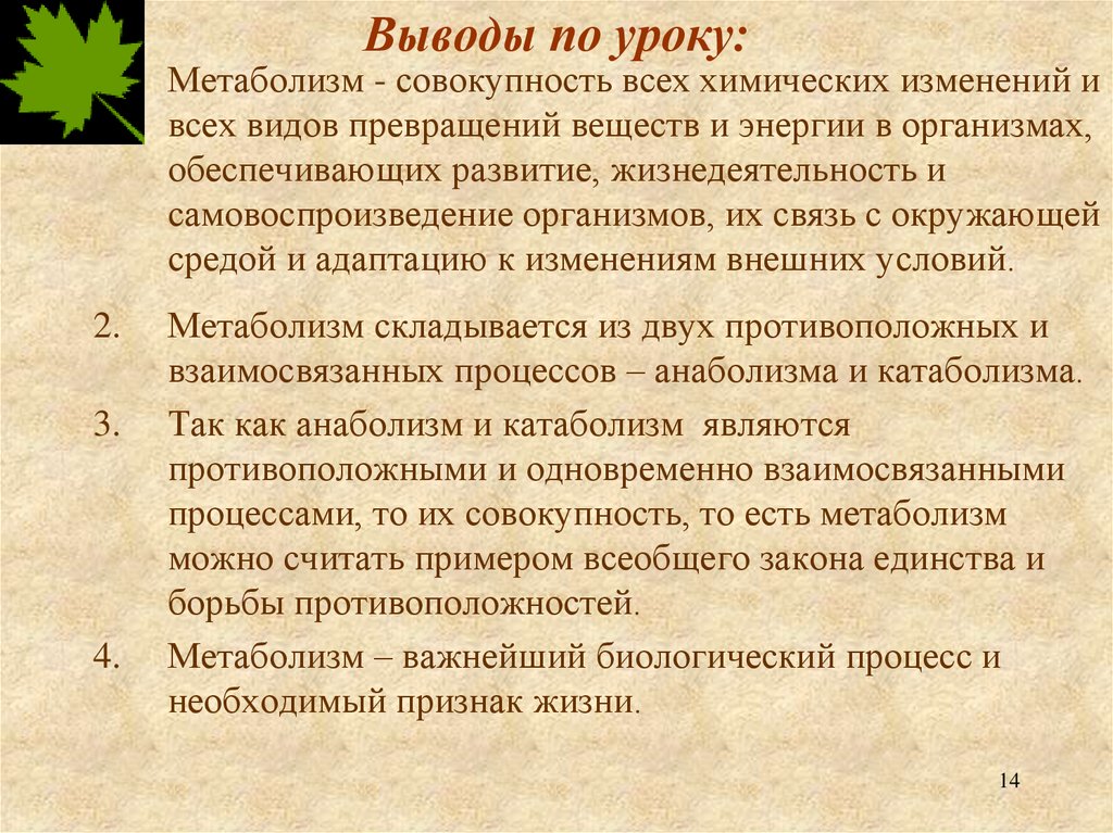 Выводы по уроку: