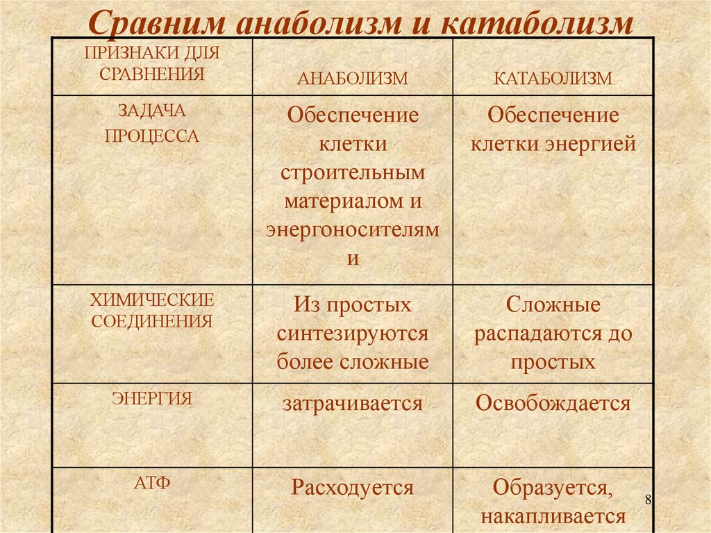 Сравним анаболизм и катаболизм