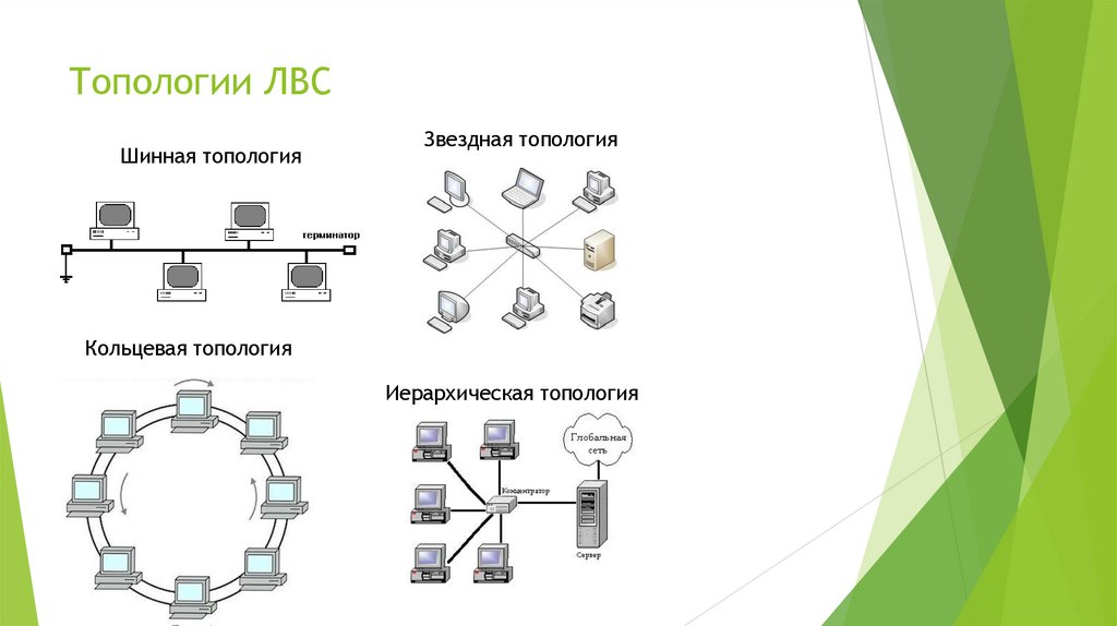 Топологии ЛВС