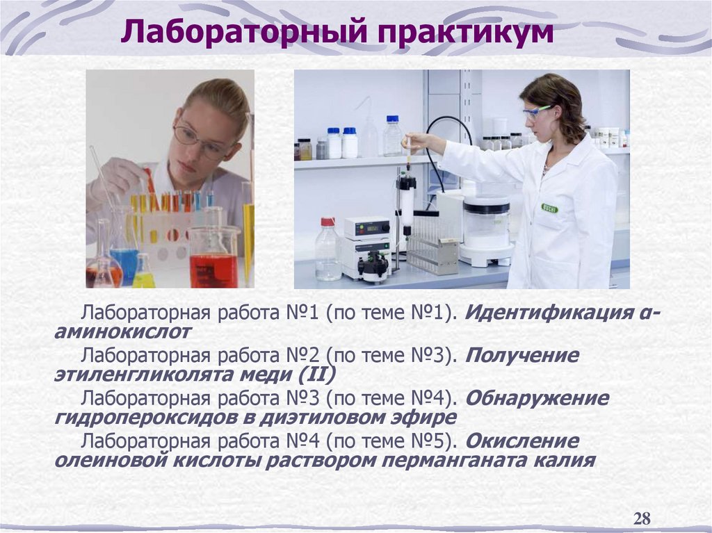 Лабораторный практикум