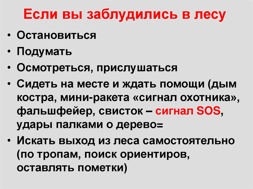 Если вы заблудились в лесу