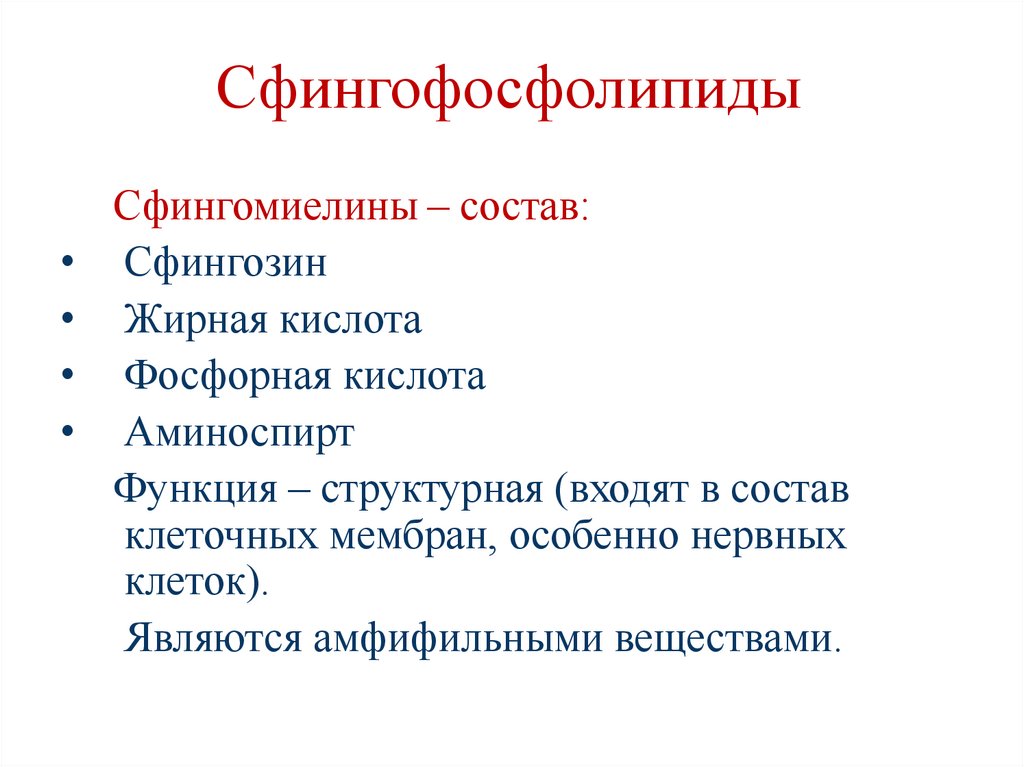 Сфингофосфолипиды