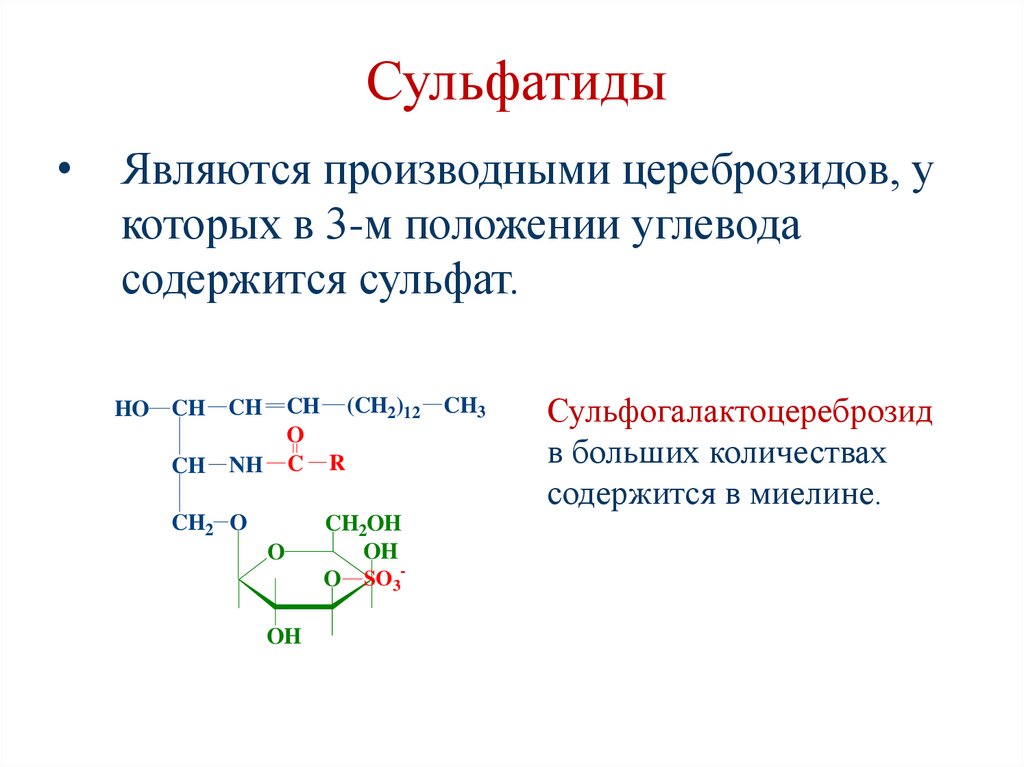 Сульфатиды