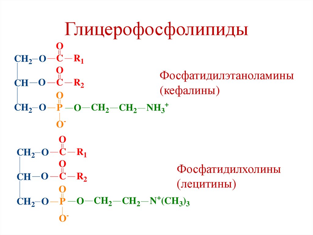 Глицерофосфолипиды