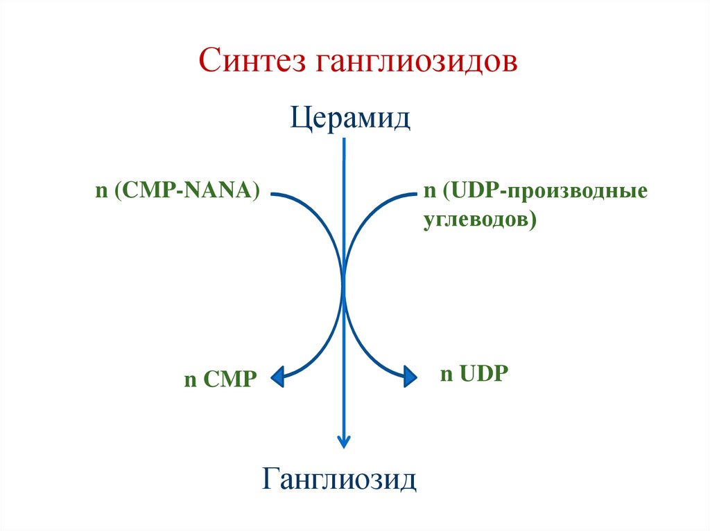 Синтез ганглиозидов