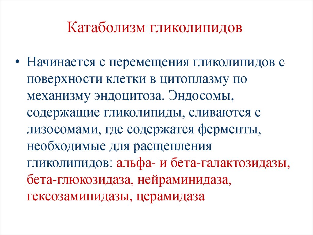 Катаболизм гликолипидов