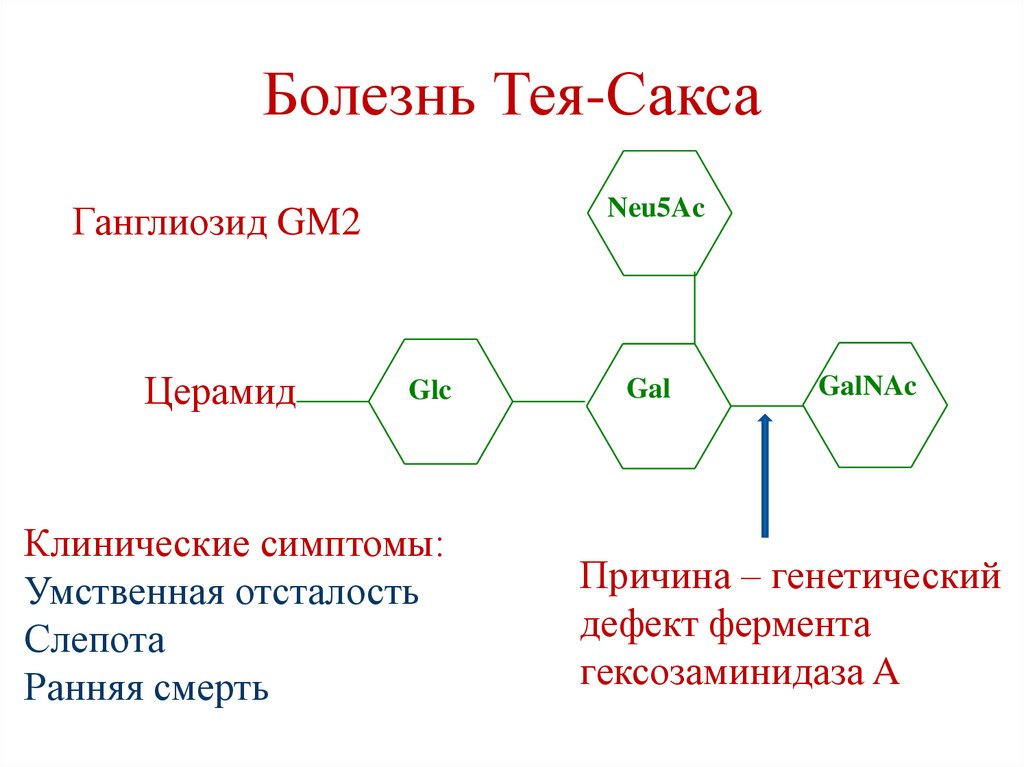 Болезнь Тея-Сакса