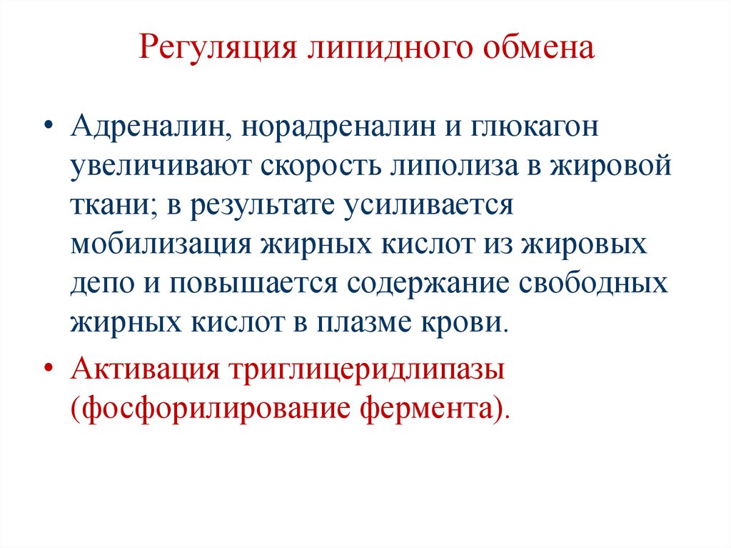 Регуляция липидного обмена