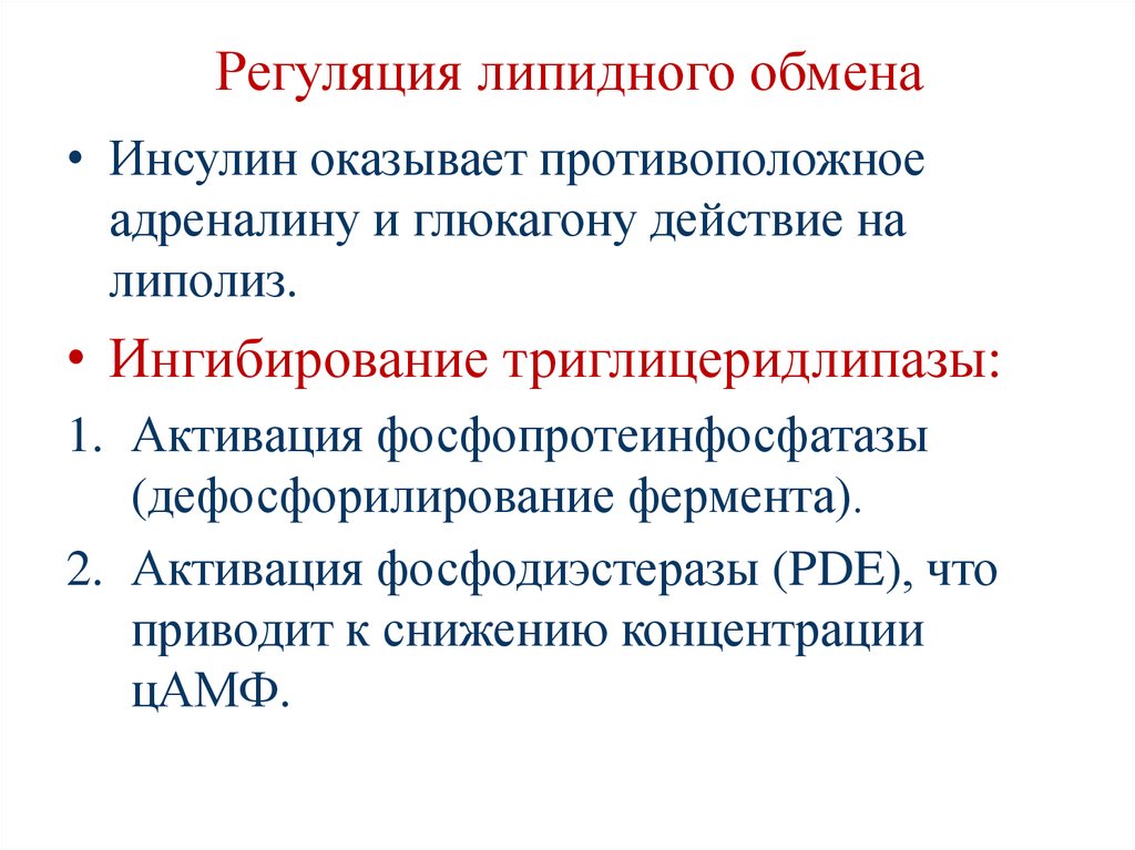 Регуляция липидного обмена