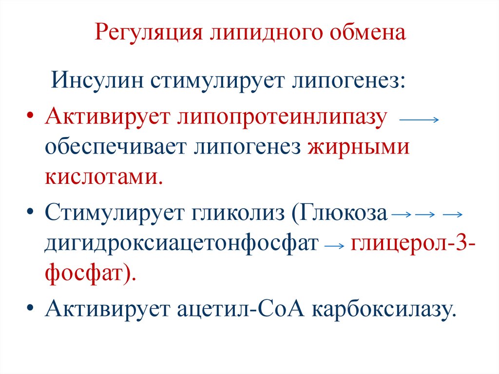 Регуляция липидного обмена