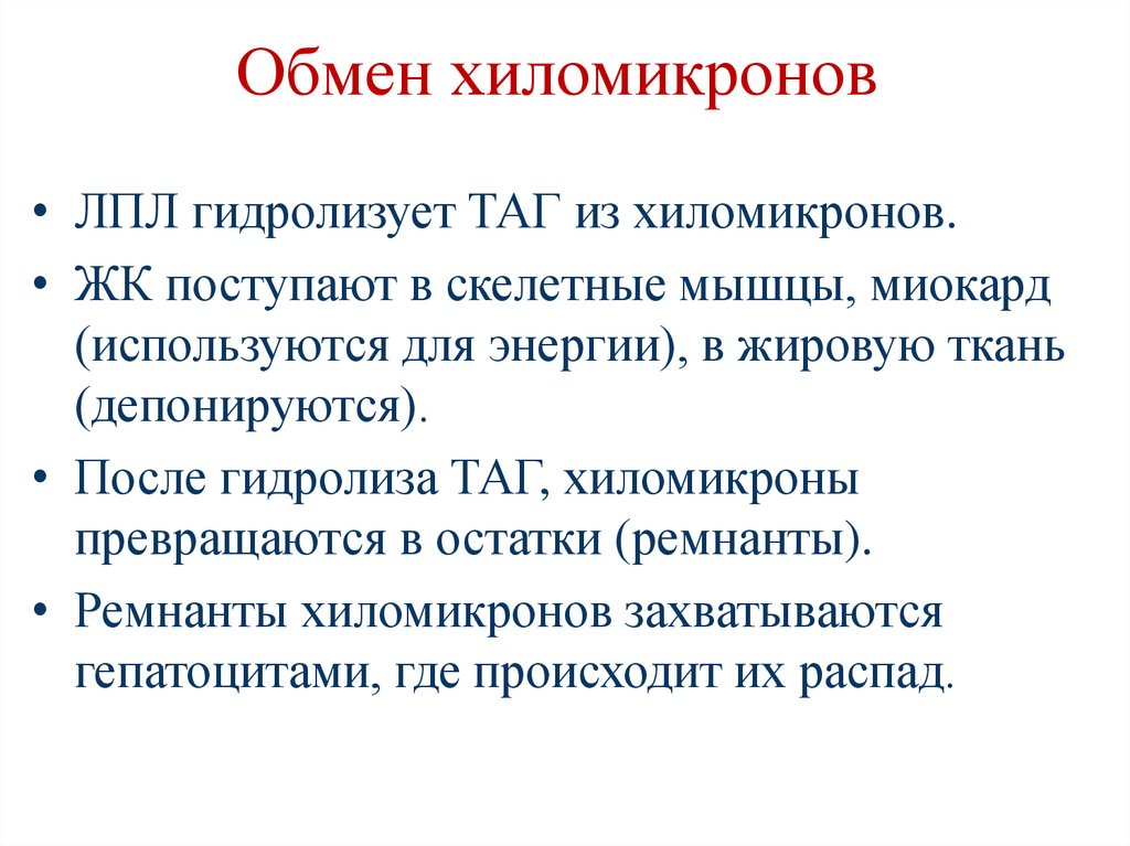 Обмен хиломикронов