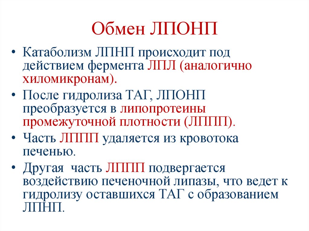 Обмен ЛПОНП