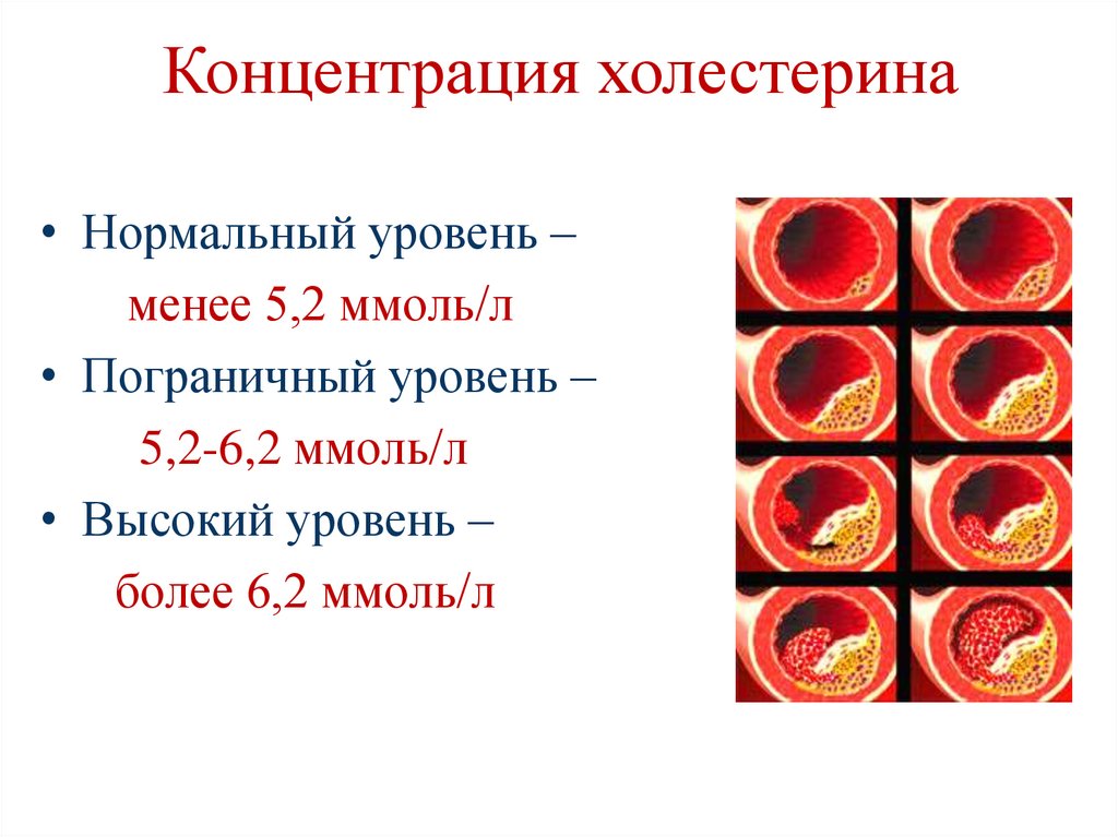Концентрация холестерина