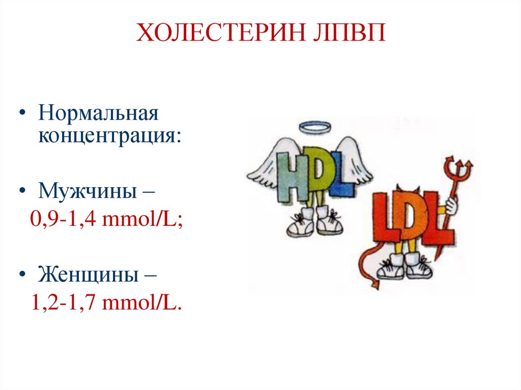 ХОЛЕСТЕРИН ЛПВП