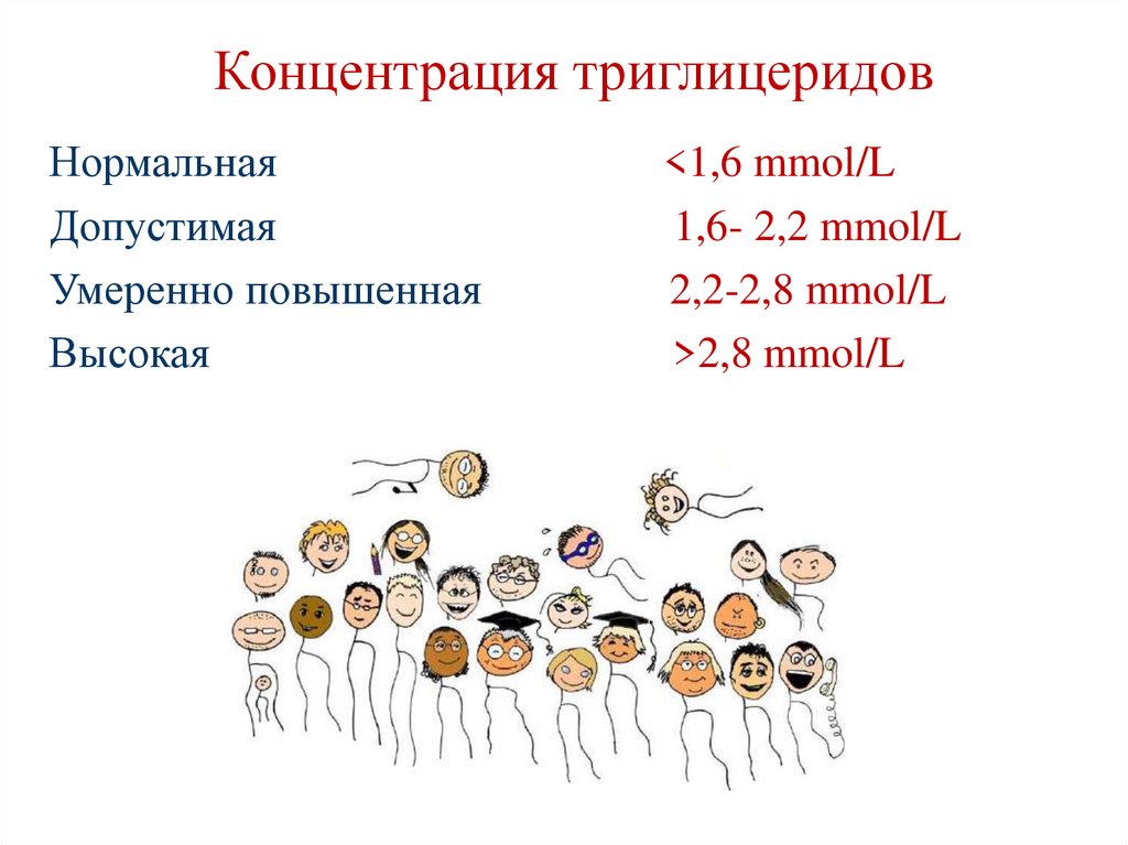 Концентрация триглицеридов