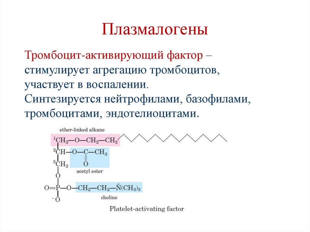 Плазмалогены