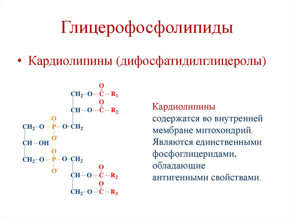 Глицерофосфолипиды