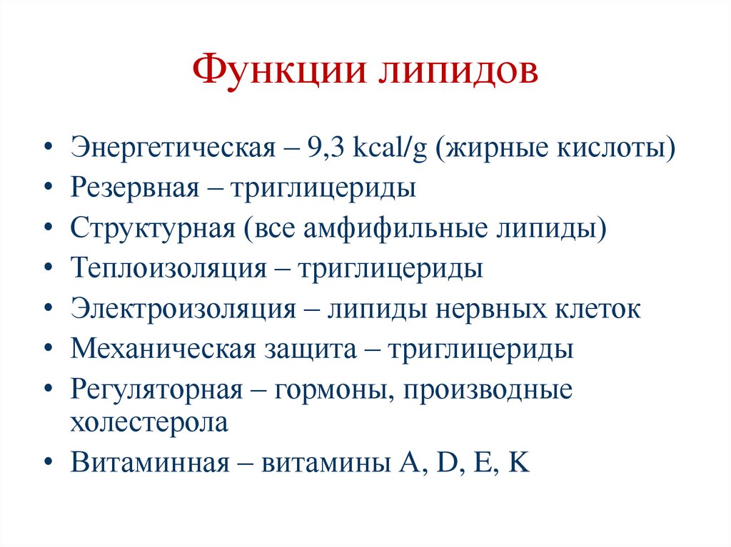Функции липидов