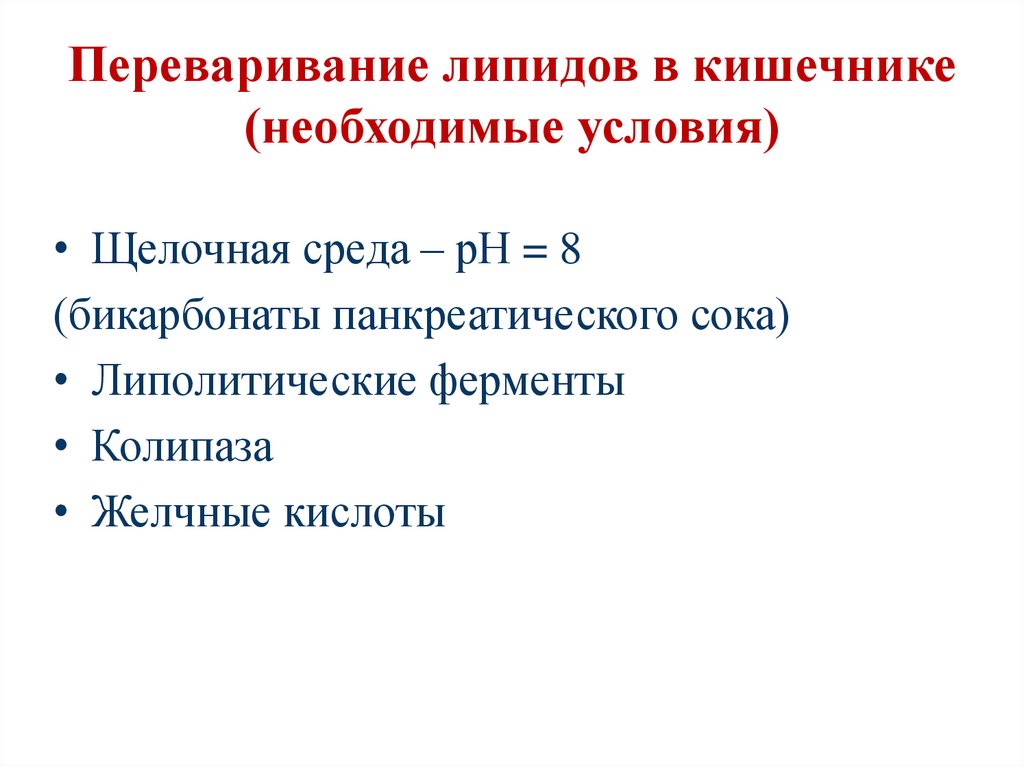 Переваривание липидов в кишечнике (необходимые условия)