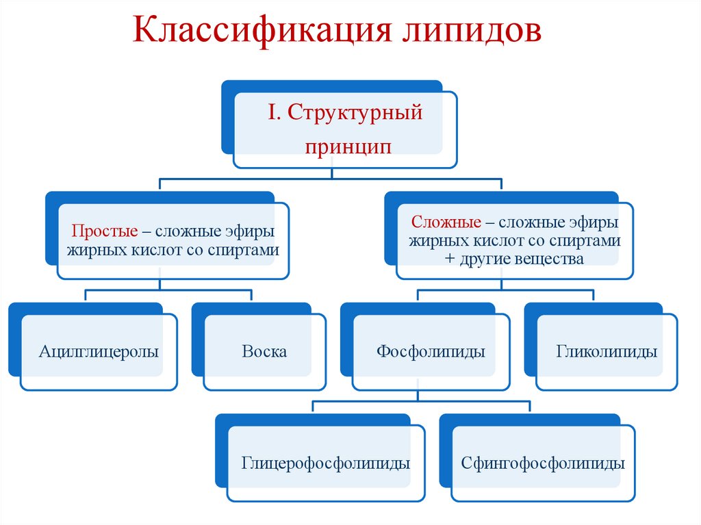 Классификация липидов