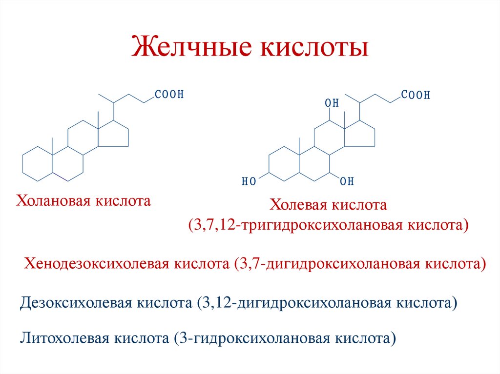 Желчные кислоты