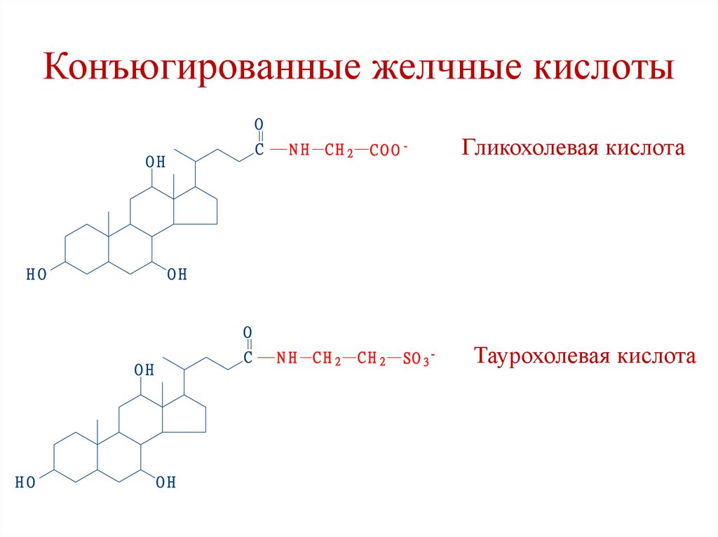 Конъюгированные желчные кислоты