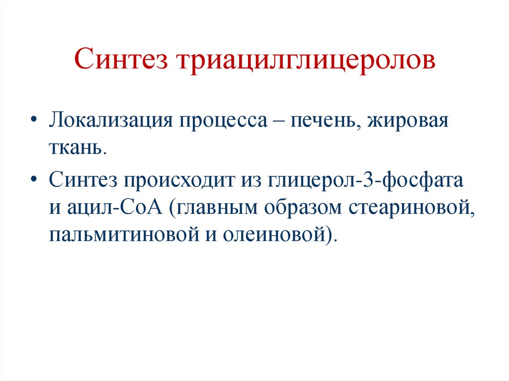 Синтез триацилглицеролов