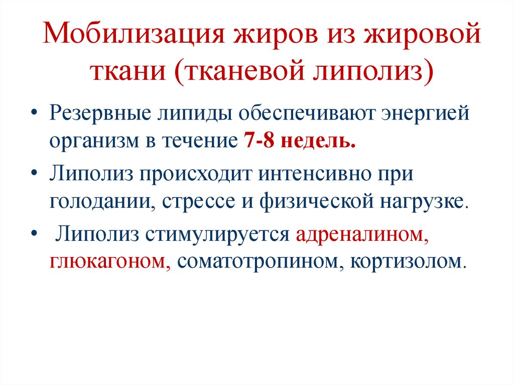 Мобилизация жиров из жировой ткани (тканевой липолиз)