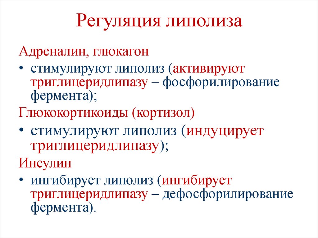 Регуляция липолиза