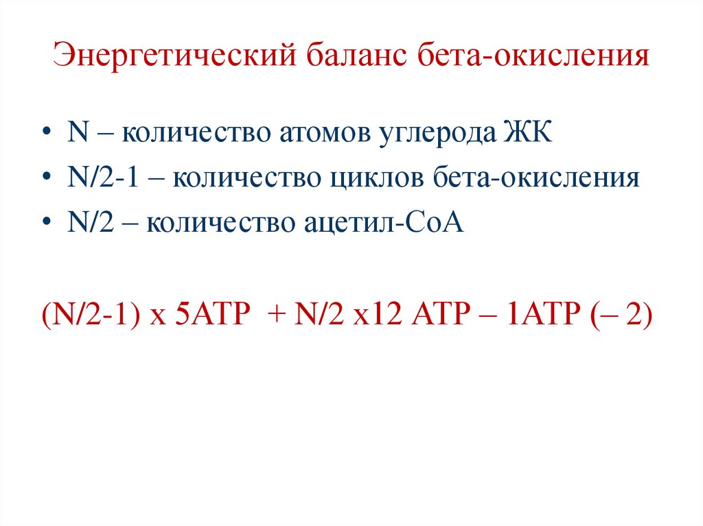 Энергетический баланс бета-окисления