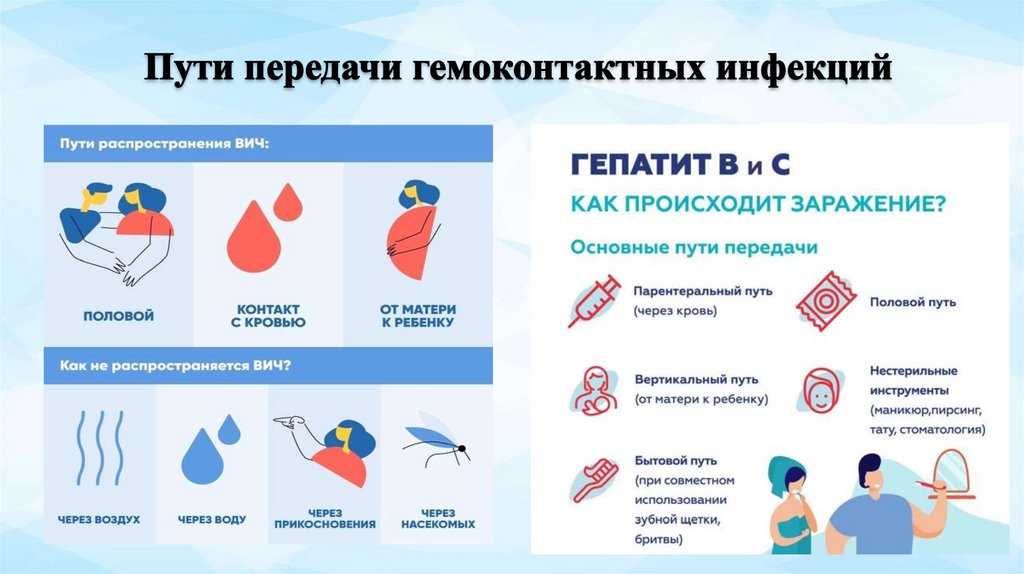 Пути передачи гемоконтактных инфекций