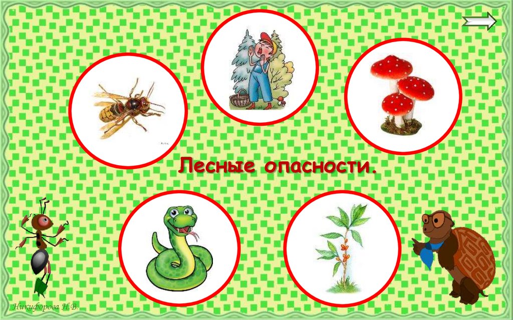 Лесные опасности.