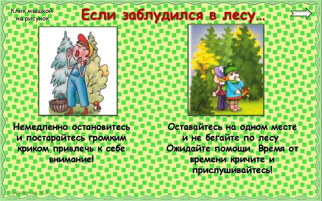 Если заблудился в лесу…