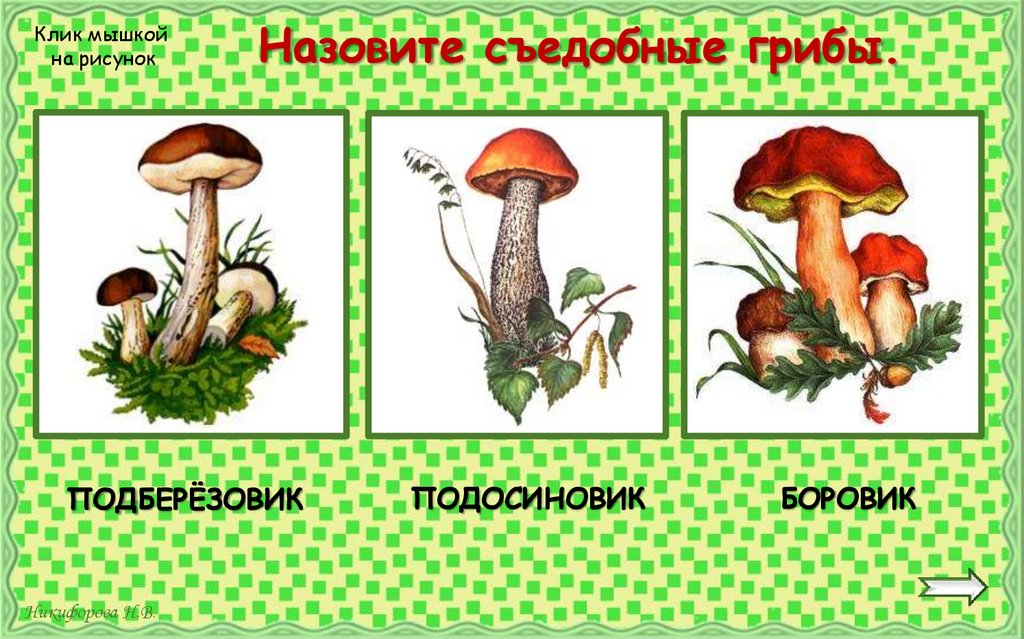 Назовите съедобные грибы.