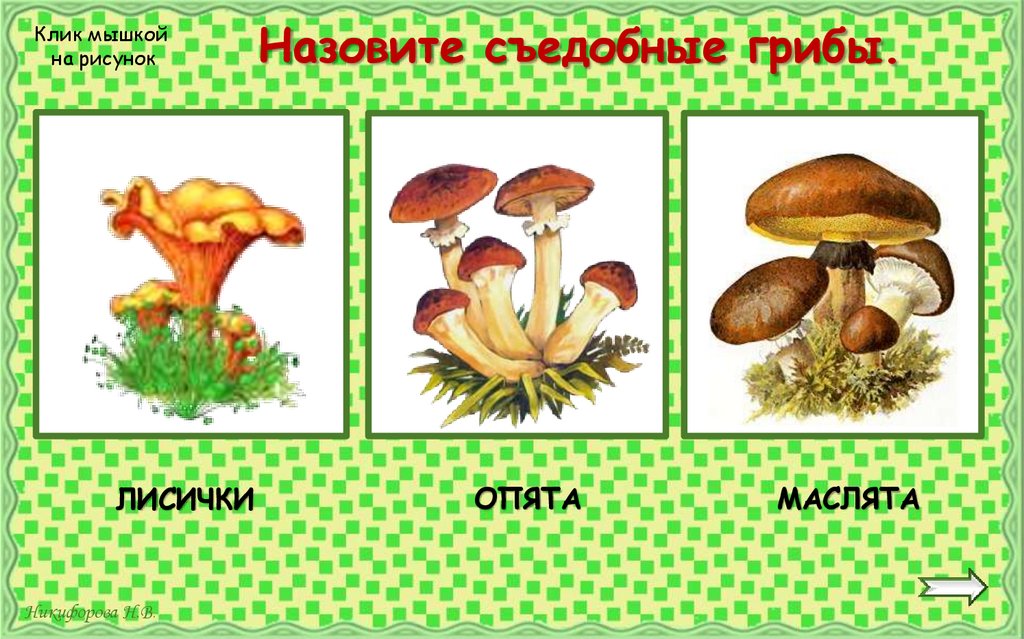 Назовите съедобные грибы.