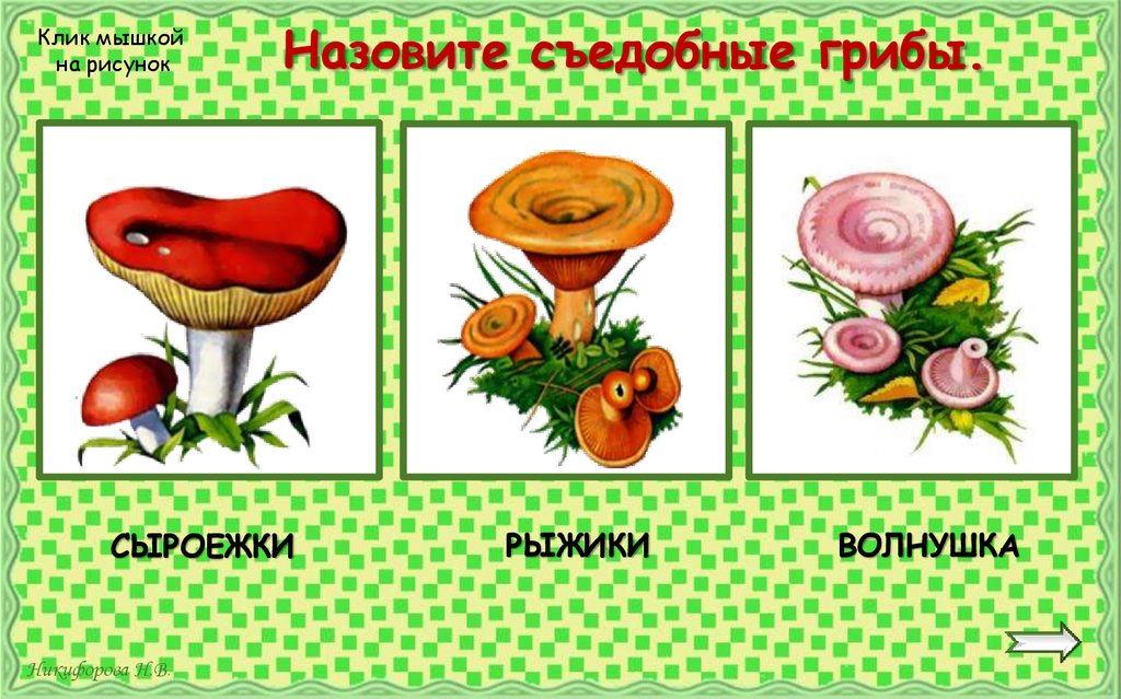 Назовите съедобные грибы.