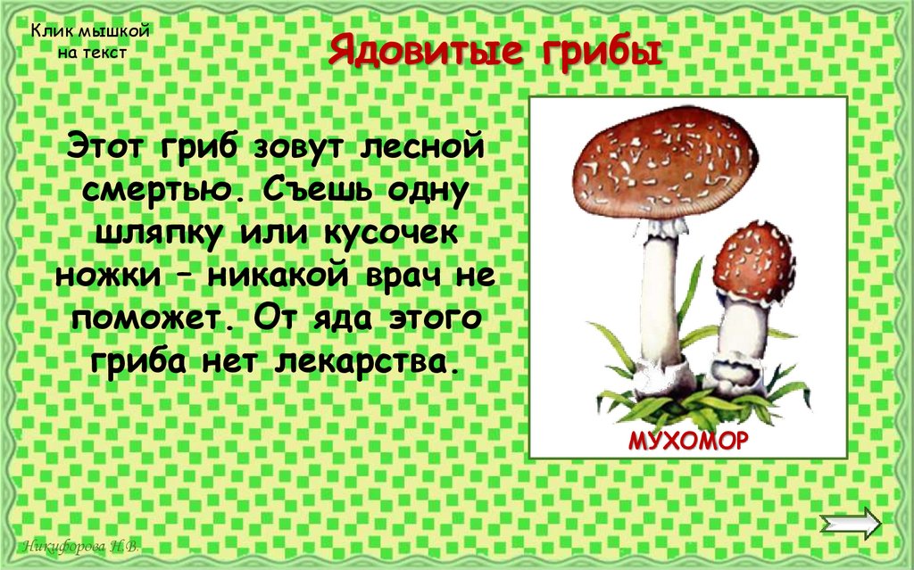 Ядовитые грибы