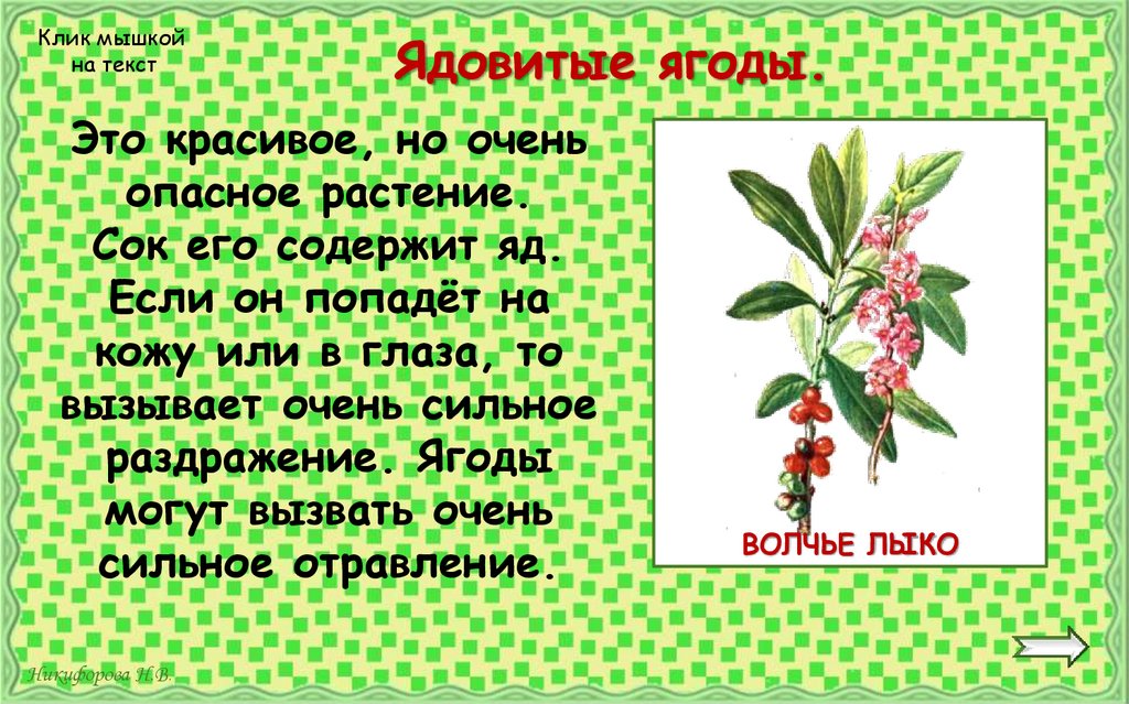 Ядовитые ягоды.