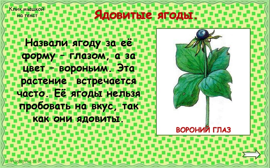 Ядовитые ягоды.