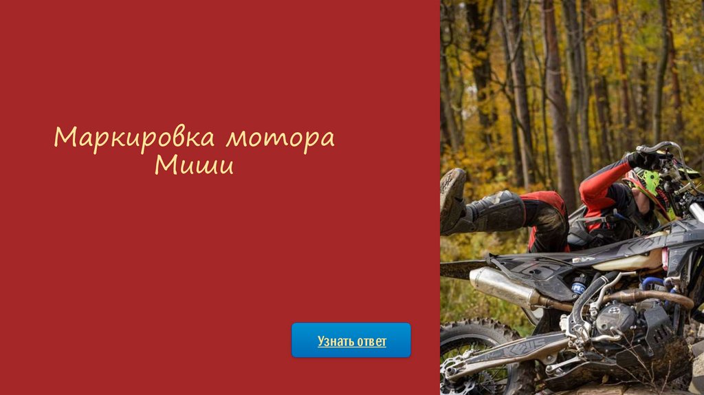 Маркировка мотора Миши