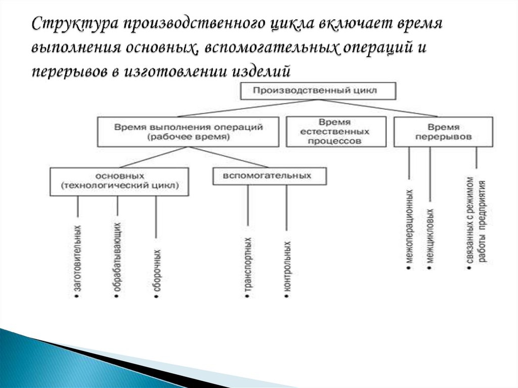 Структура производственного цикла включает время выполнения основных, вспомогательных операций и перерывов в изготовлении