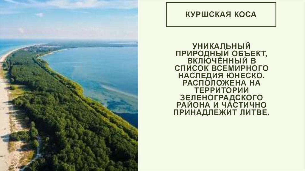 Куршская коса