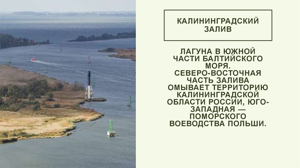 Калининградский залив