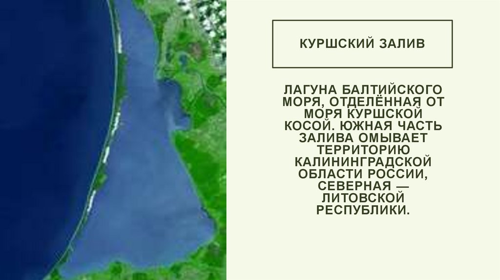 Куршский залив