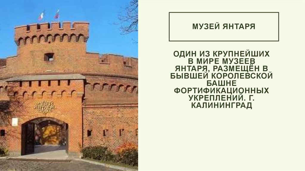 Музей янтаря