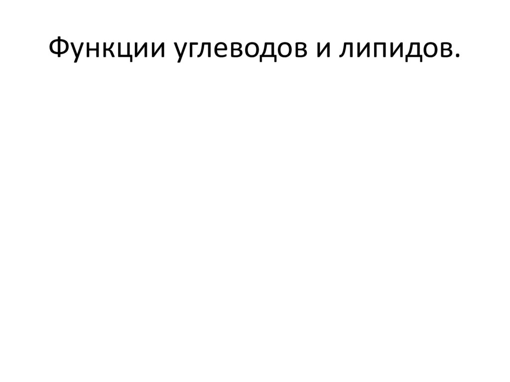 Функции углеводов и липидов.